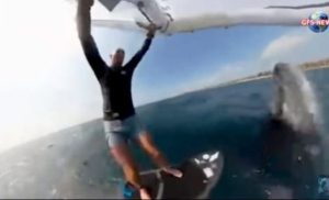 Baleia salta no mar e atinge surfista: “Achei que tudo tinha acabado”