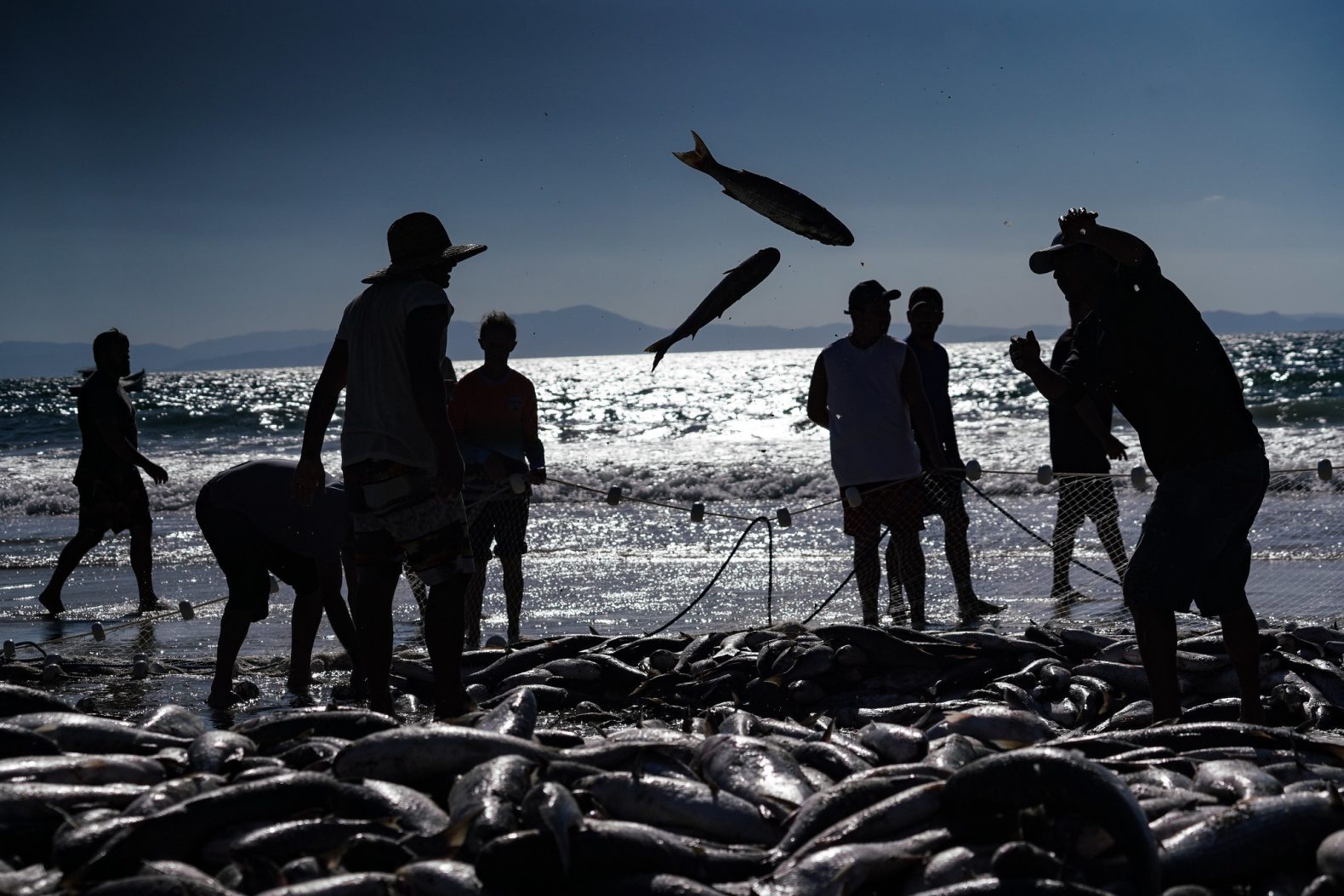 Cesta básica catarinense pode ganhar inclusão de pescados e linguiças