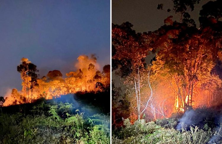 Incêndio florestal destrói parte de propriedade no Vale do Itajaí