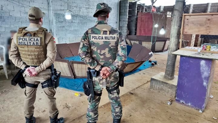 Polícia Ambiental flagra rinhas de galo e resgata mais de 75 animais em SC