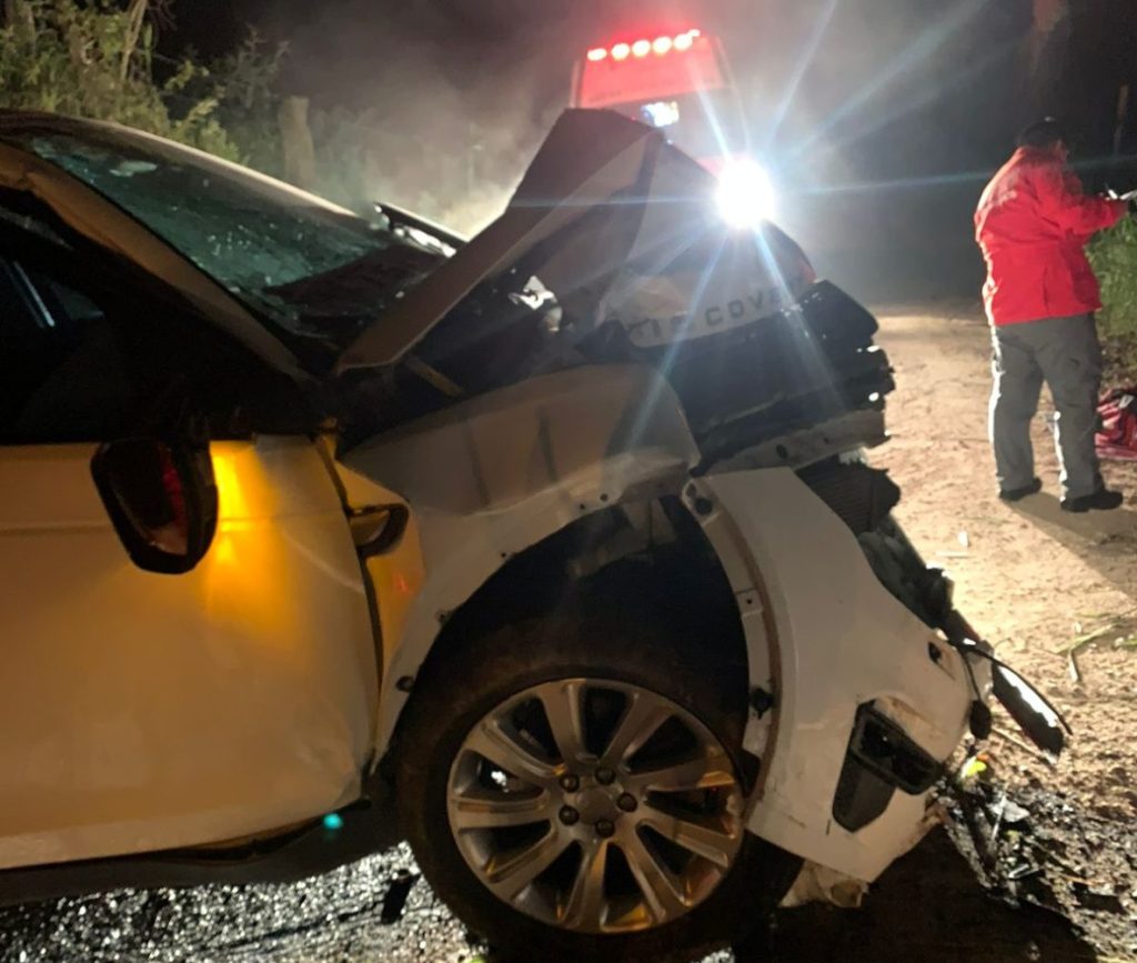 Vale: motorista desvia de animal na pista e bate contra árvore
