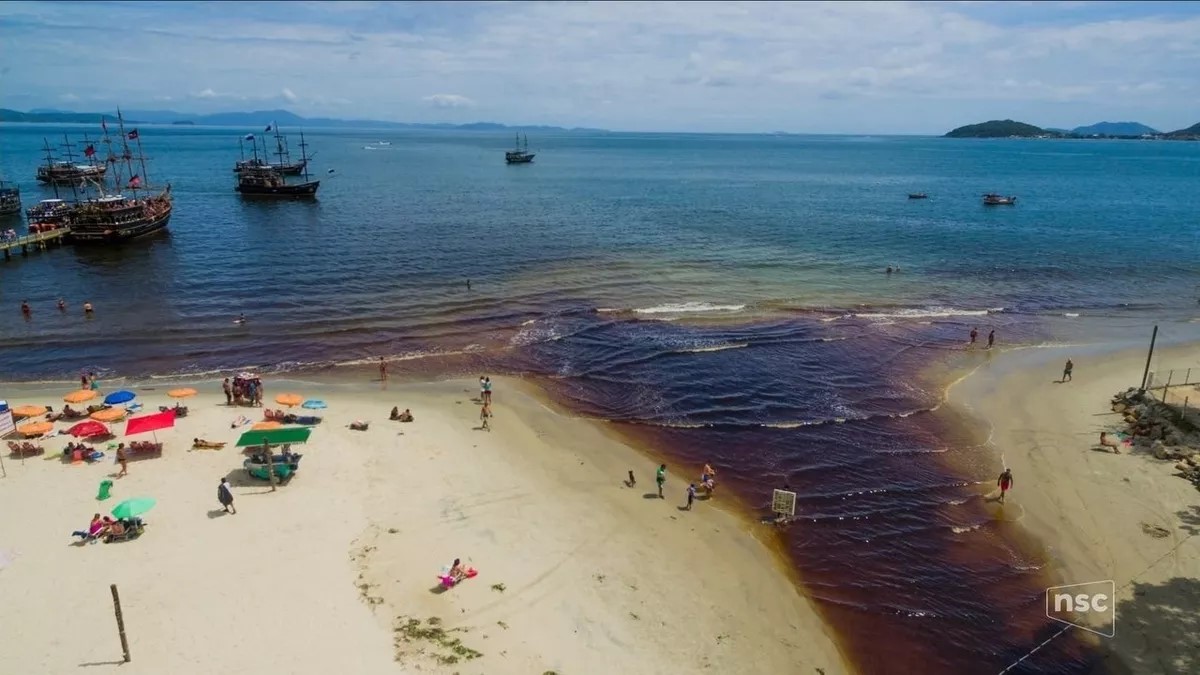 Viroses: surtos da doença são mais comuns durante o verão
