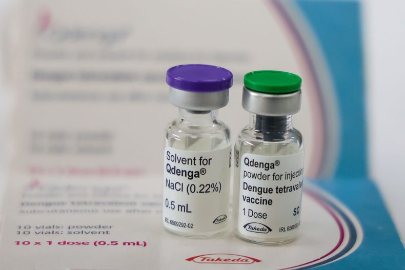 Vacinação contra dengue será estendida para Grande Florianópolis