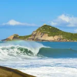 Natureza vira arma contra enchentes e calor extremo nas cidades