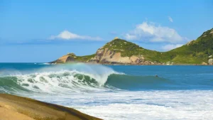 Natureza vira arma contra enchentes e calor extremo nas cidades