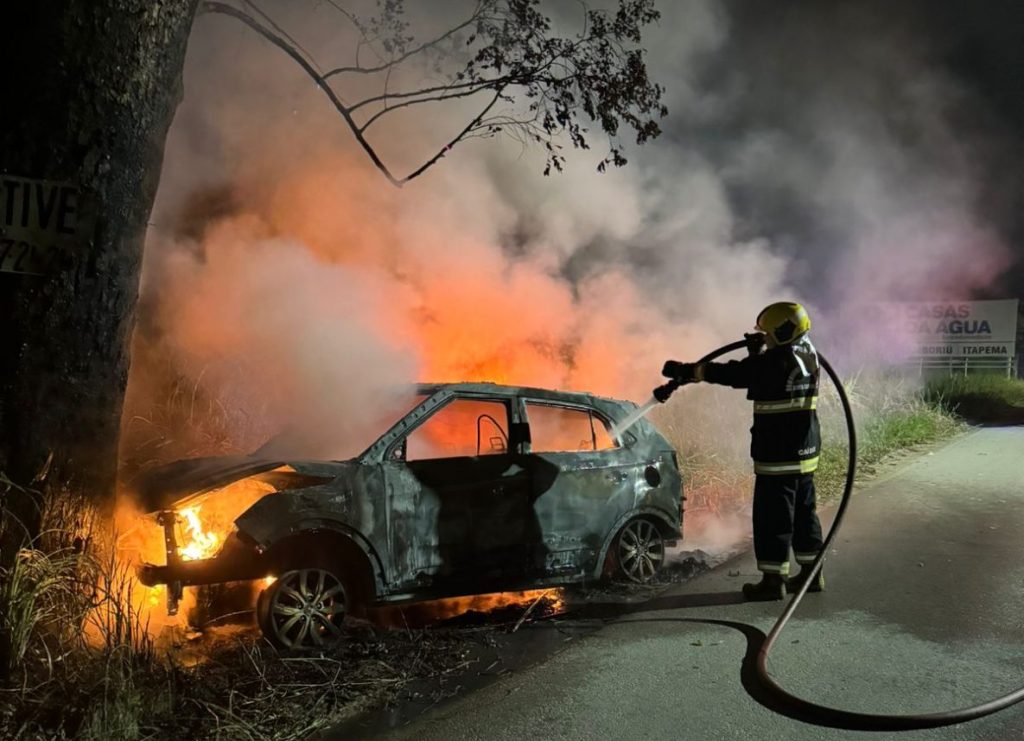 Motorista bate em árvore em rodovia e carro incendeia; perda total