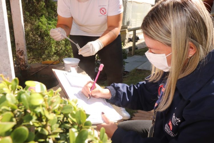 Quer saber como está a situação da dengue em Blumenau? Confira