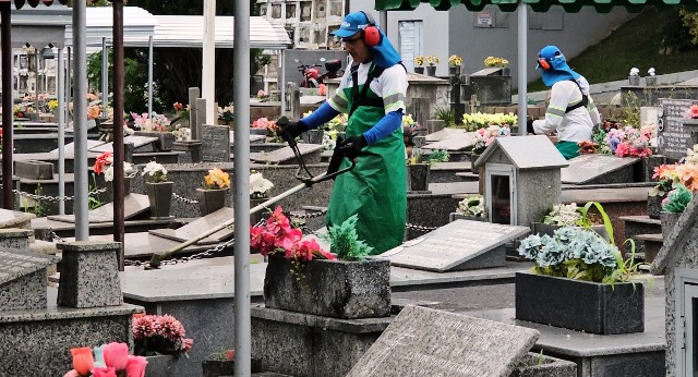 Combate à dengue mantém vigilância nos cemitérios contra água acumulada