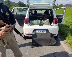 Polícia prende suspeito de contrabando na BR-101