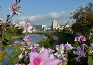 Confira agenda cultural para este feriado de Páscoa em Blumenau