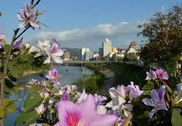 Confira agenda cultural para este feriado de Páscoa em Blumenau