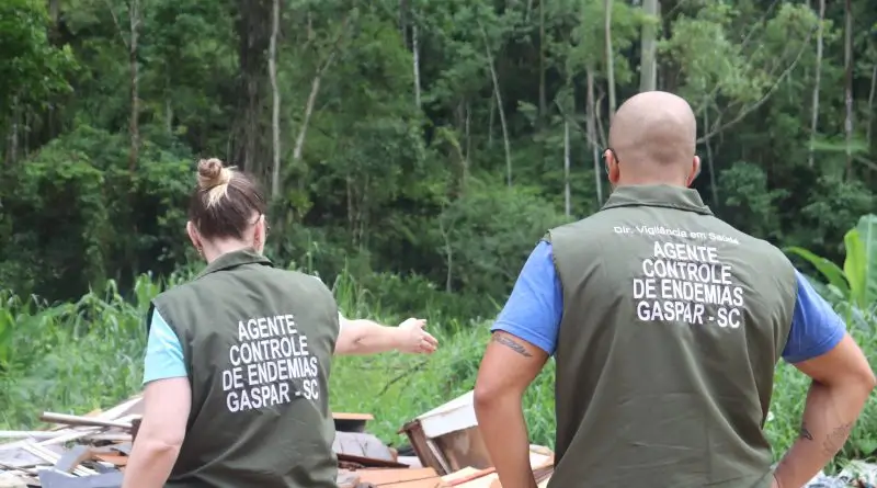 Gaspar registra 131 casos de dengue; 7 pacientes estão internados