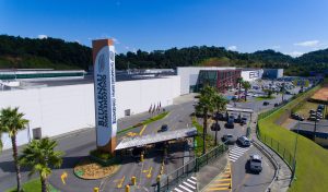 Shopping terá feira de vinil e adoção de animais neste fim de semana