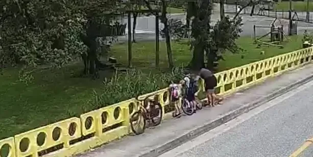 Polícia identifica mulher que jogou cãozinho de cima de ponte em SC