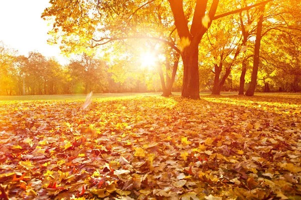 Outono começa com calor forte no Sul e Centro-Oeste