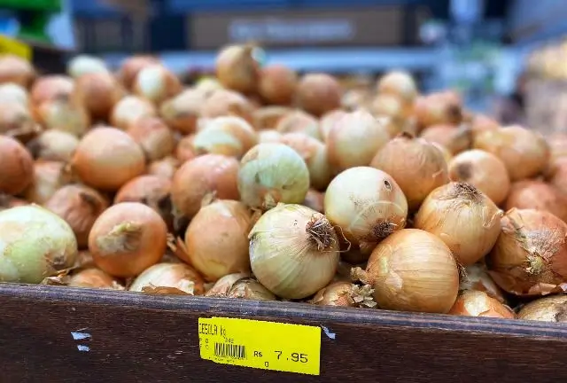 Crise da cebola afunda preços e amplia prejuízo em SC