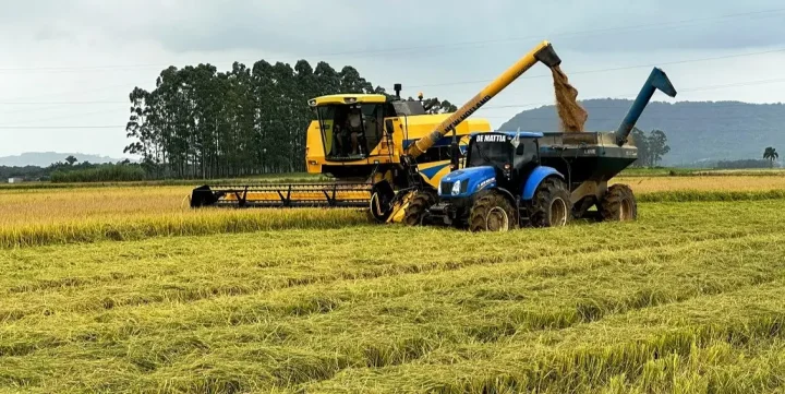 Fazendeiro é preso por plantar fruta patenteada e leva multa milionária