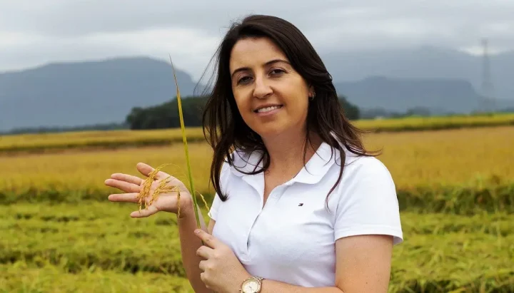 Em Santa Catarina, segundo estado que mais produz arroz em todo o território brasileiro, a colheita é mais do que o fim de uma safra. Para os agricultores, é a celebração do trabalho árduo e do zelo incondicional para que os melhores grãos sejam destinados às indústrias. As expectativas da cadeia produtiva para 2024 são de bons resultados, mesmo após os desafios climáticos enfrentados nos meses passados. Além disso, um dos grandes pontos positivos é que a qualidade do cereal catarinense, reconhecida internacionalmente, também deverá se manter.