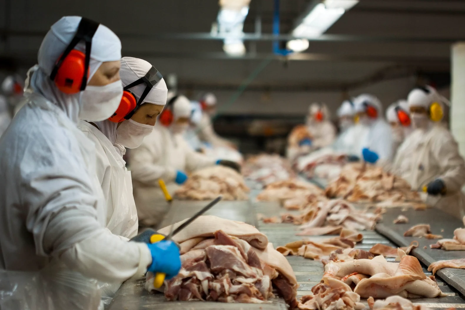 Facisc comemora aumento de quase 30% nos empregos em SC