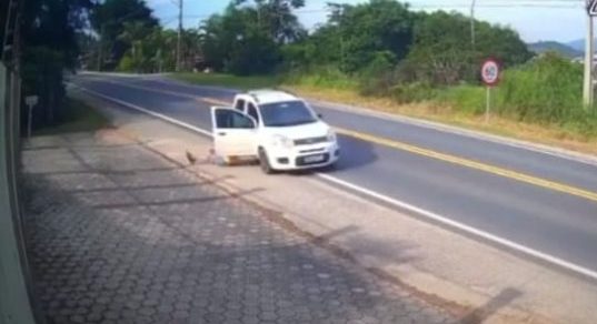 Vídeo: casal abandona veículo em movimento antes de cair em ribanceira
