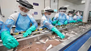 Justiça: indústria de pescados não precisa de inscrição no Crea