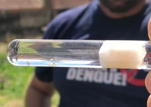 Blumenau registra mais de 200 casos de dengue em 1 semana