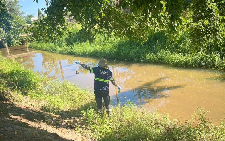 Casan executa monitoramento ambiental na Capital Catarinense