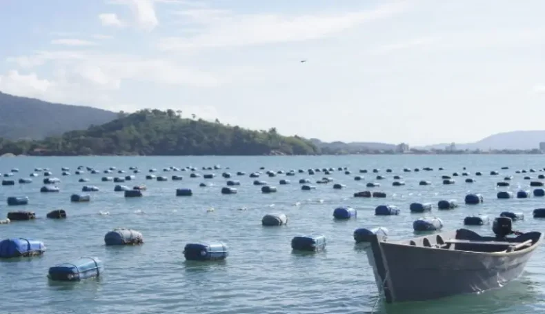 Florianópolis recebe encontro internacional sobre aquicultura e pesca