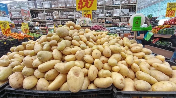 SC registra maior queda no preço da batata no país, segundo Conab