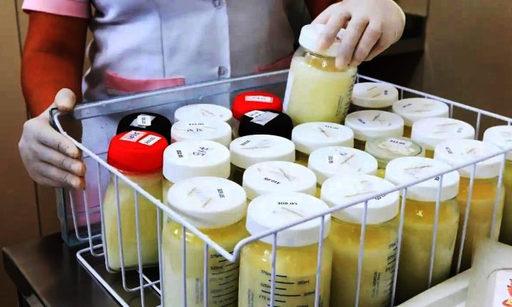 Campanha anual de doação de leite materno beneficia 10 mil bebês em SC