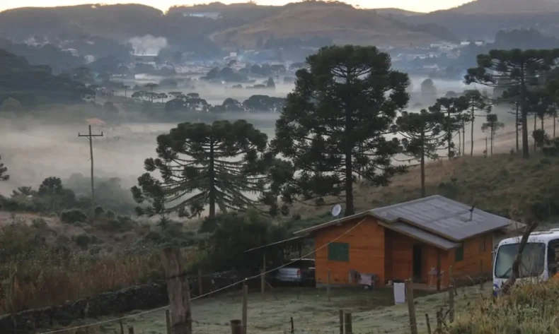 Vídeo: Santa Catarina registra a primeira neve de 2024