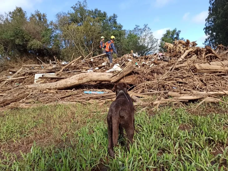 Novos bombeiros e cães de busca de SC são enviados ao RS