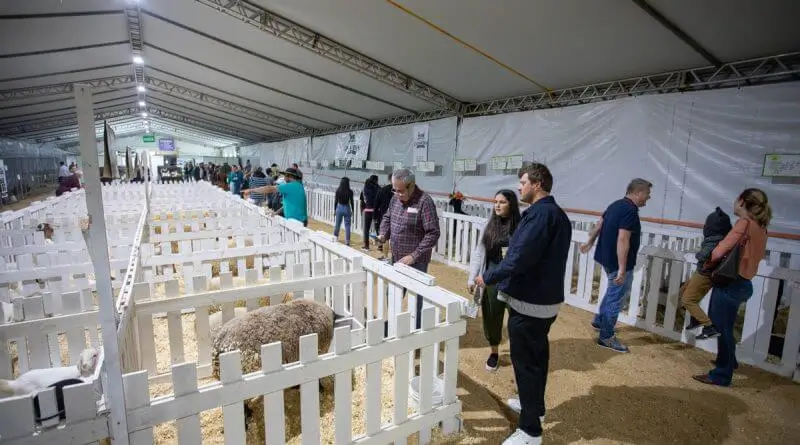 Expofeira de Gaspar terá oficina gastronômica; conheça novidades