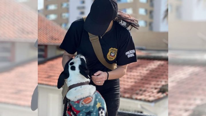 Vídeo: Polícia Civil lança portal para adoção de animais resgatados