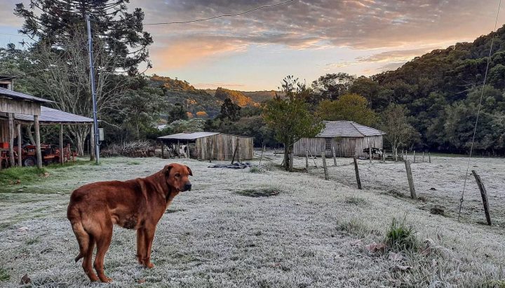 Massa de ar frio provoca queda de temperatura e geada no Sul do país