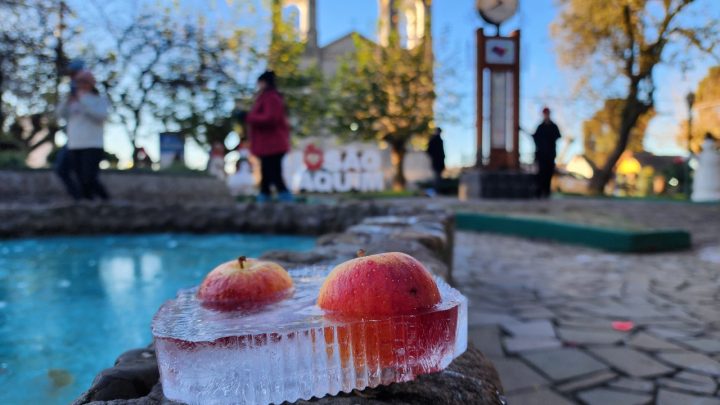 Monitoramento do frio auxilia a fruticultura de clima temperado em SC