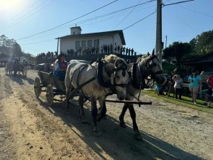 Confira a programação das tradicionais Festas do Colono da Vila Itoupava