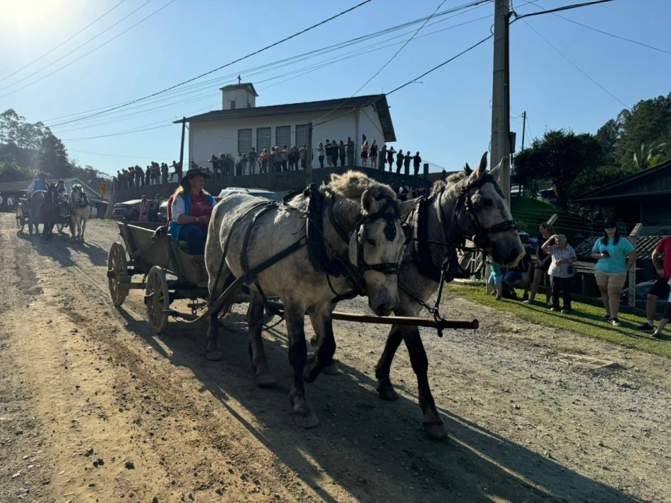 Confira a programação das tradicionais Festas do Colono da Vila Itoupava