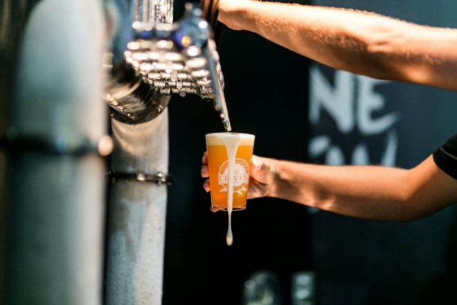 Júlia Zanatta propõe lei para diminuir impostos de cervejarias artesanais
