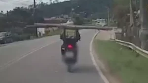 Vídeo: motociclista é flagrado transportando um tronco de árvore