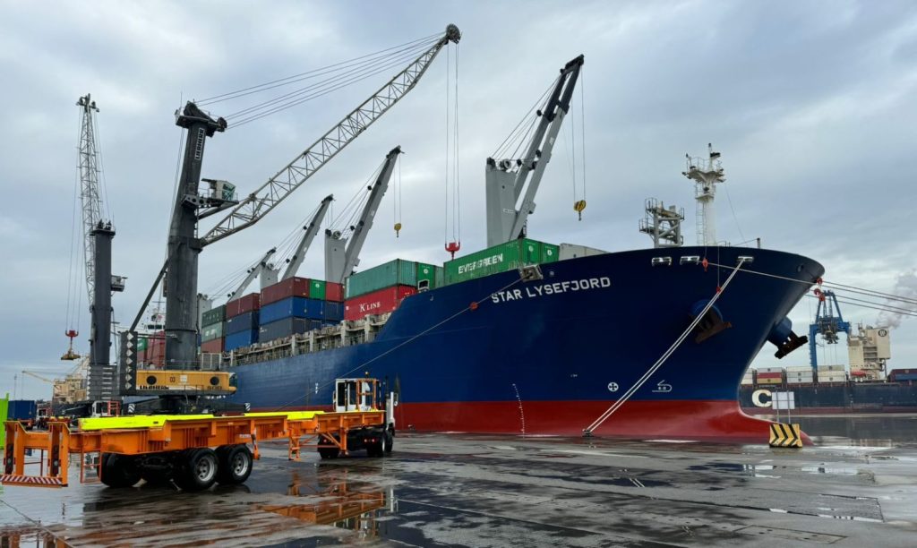 Navio com carros elétricos atraca no Porto de Itajaí