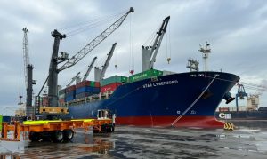 Navio com carros elétricos atraca no Porto de Itajaí