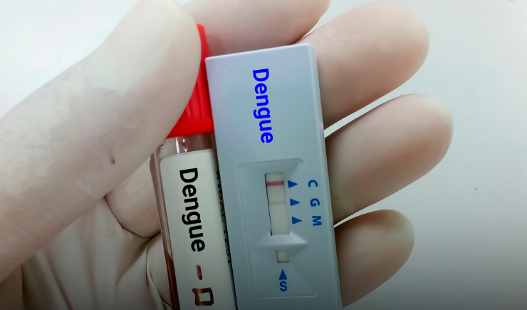 Balneário Camboriú registra oitava morte por dengue em 2024