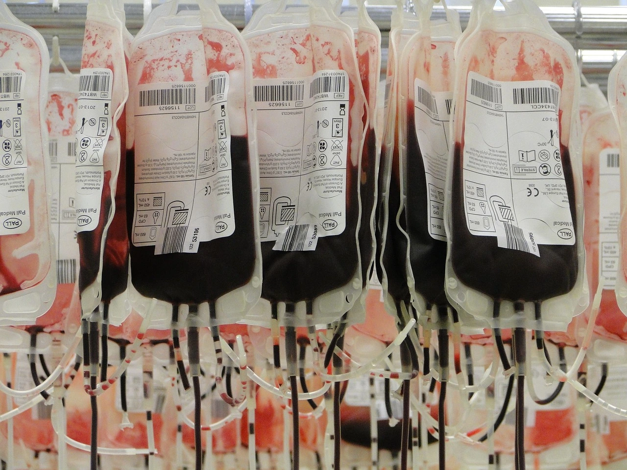Blumenau aprova meia-entrada para doadores de sangue e medula