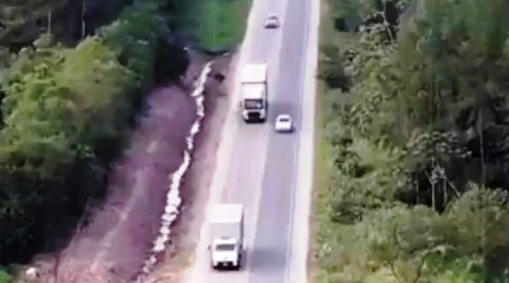 Vídeo: Drone da PM flagra ultrapassagem proibida em rodovia de SC