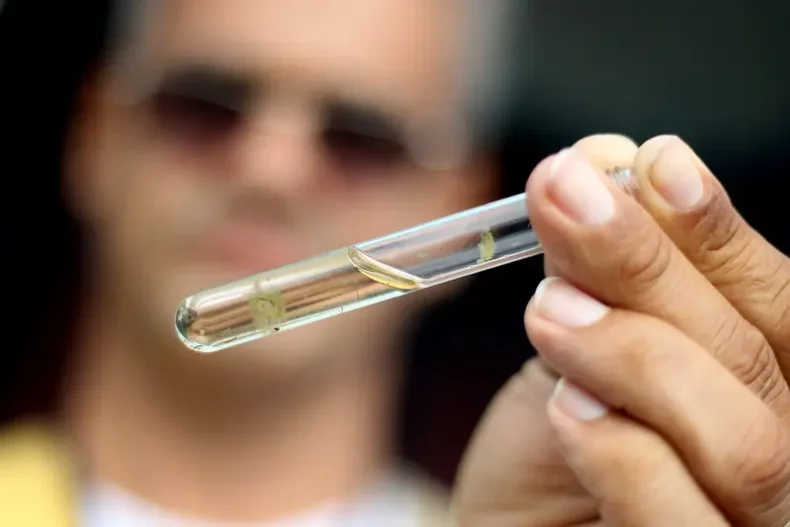 Já são mais de 360 mil casos prováveis de dengue registrados no Estado