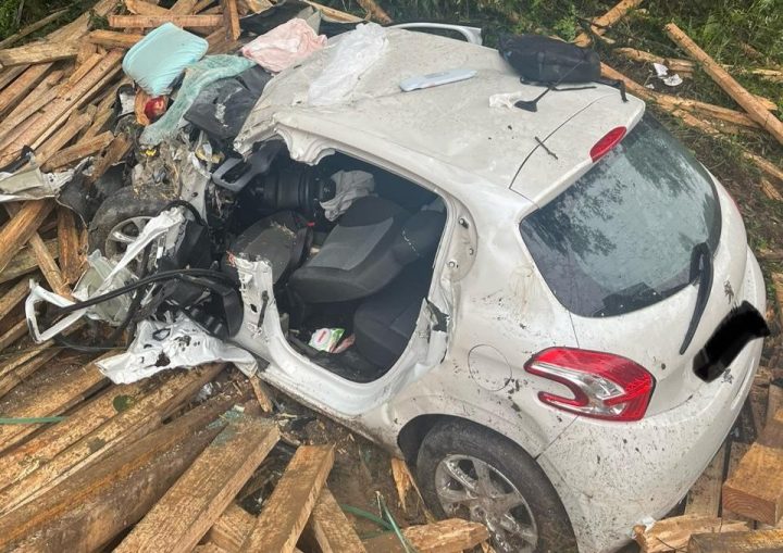 Homem e cão morrem em acidente na BR-282; mulher ficou ferida