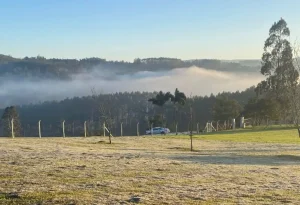 Massa de ar frio segue agindo e semana será gelada em SC