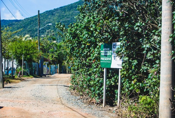 Justiça condena Prefeitura de Florianópolis por ocupação em área de manguezal