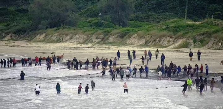Estudo aponta praia de Florianópolis como a mais poluida do País por microplásticos